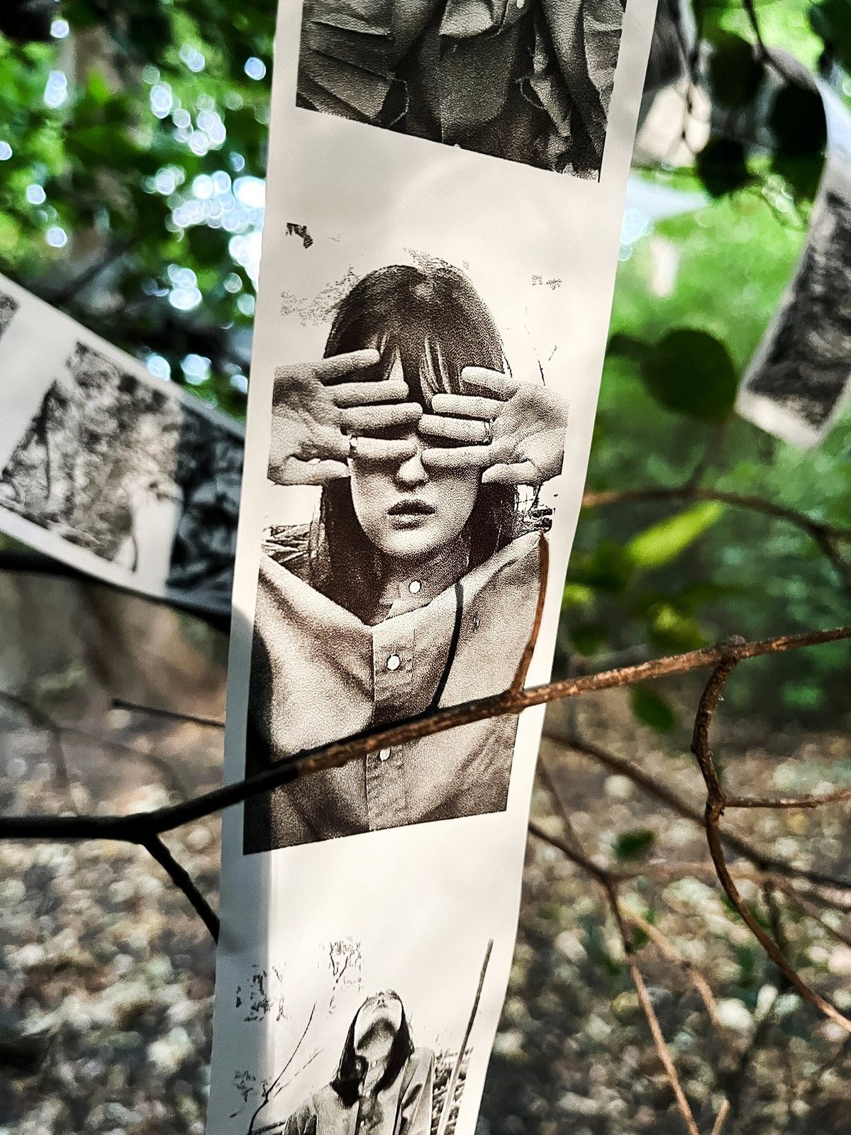 A strip of thermal portraits hanging in the branches of a tree