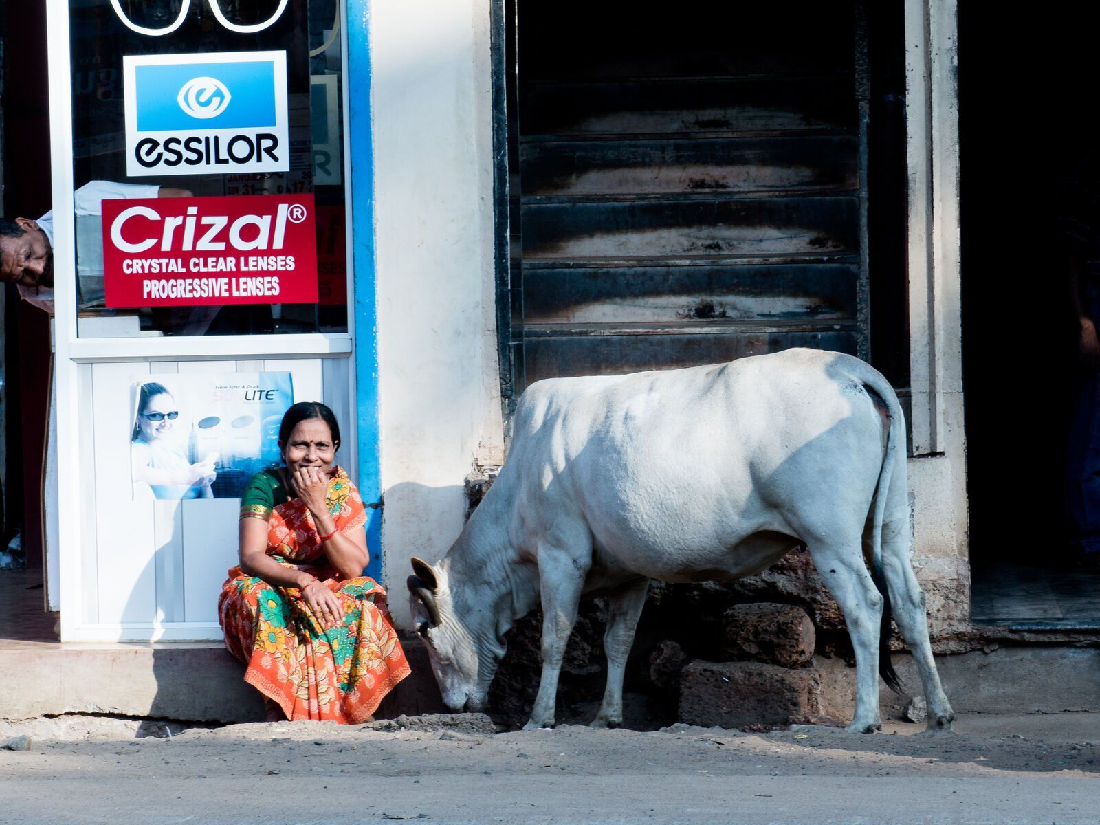 A woman beside a white cow at a shop front