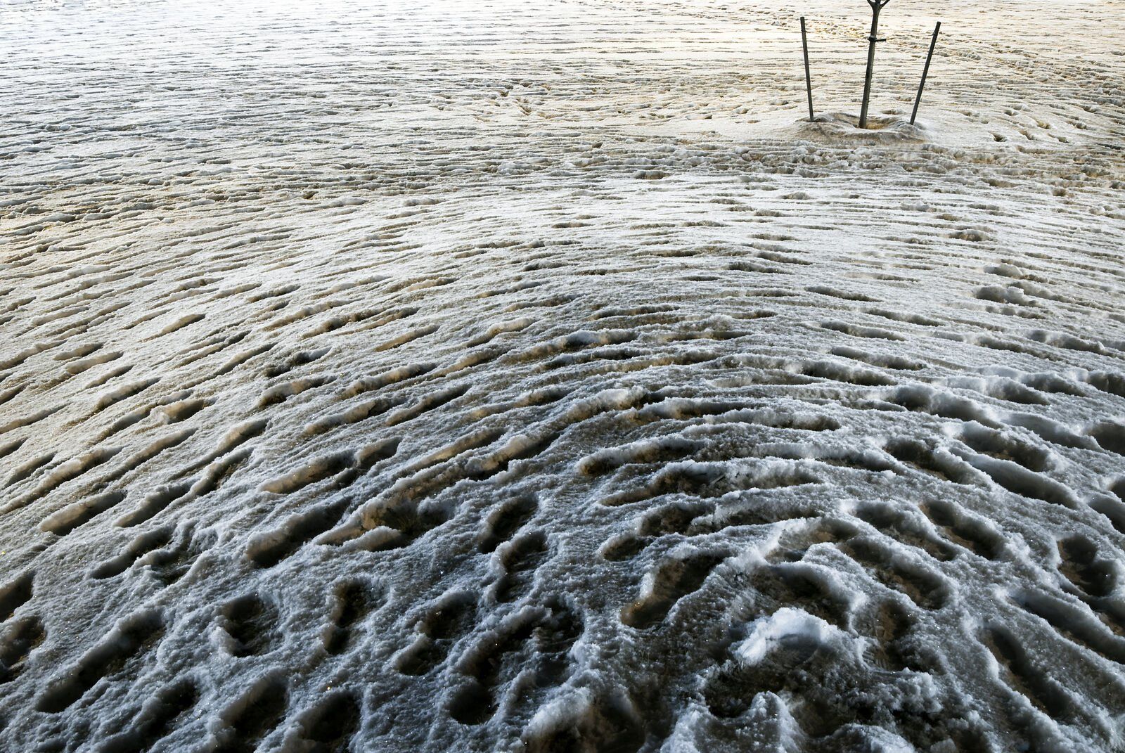 Footprints pressed into fresh snow, seen from above