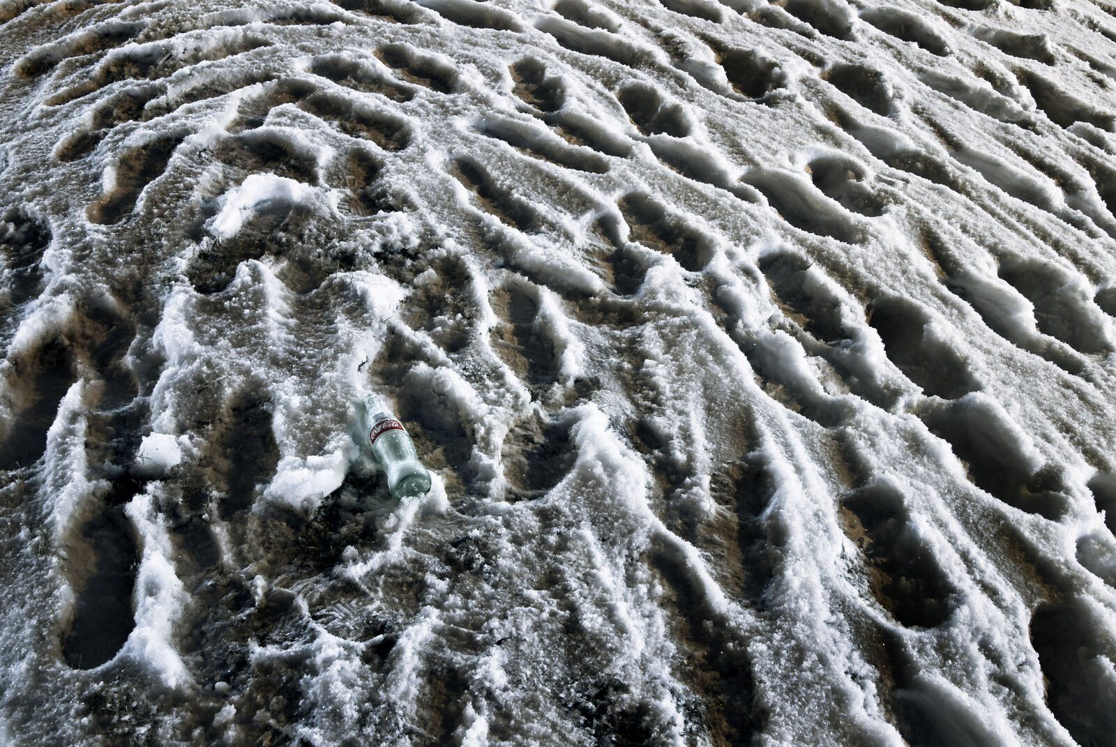 Snow Prints 3: footprints in snow