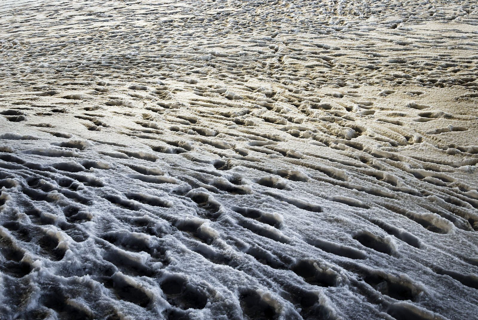 Snow Prints 5: footprints in snow