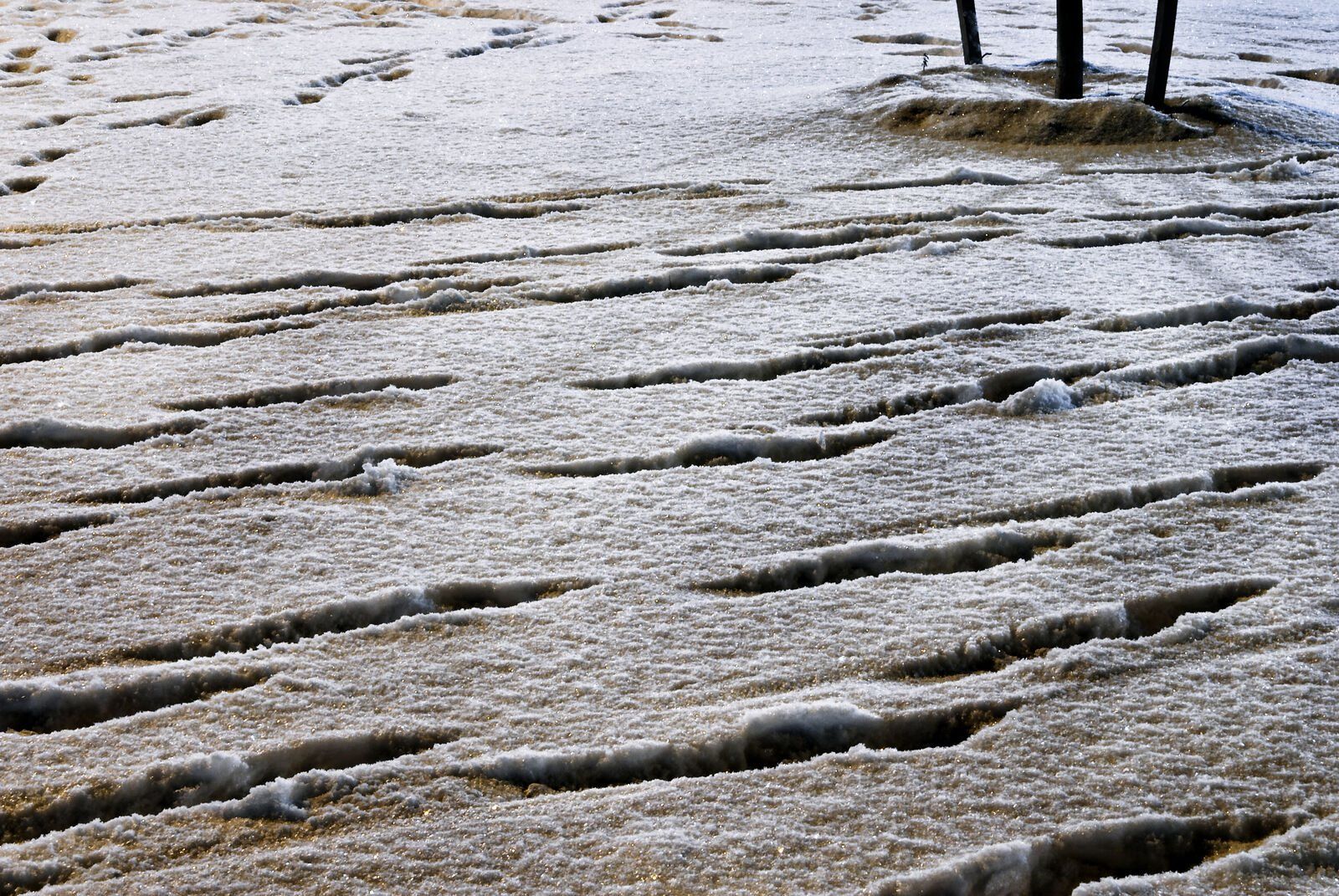 Snow Prints 6: footprints in snow