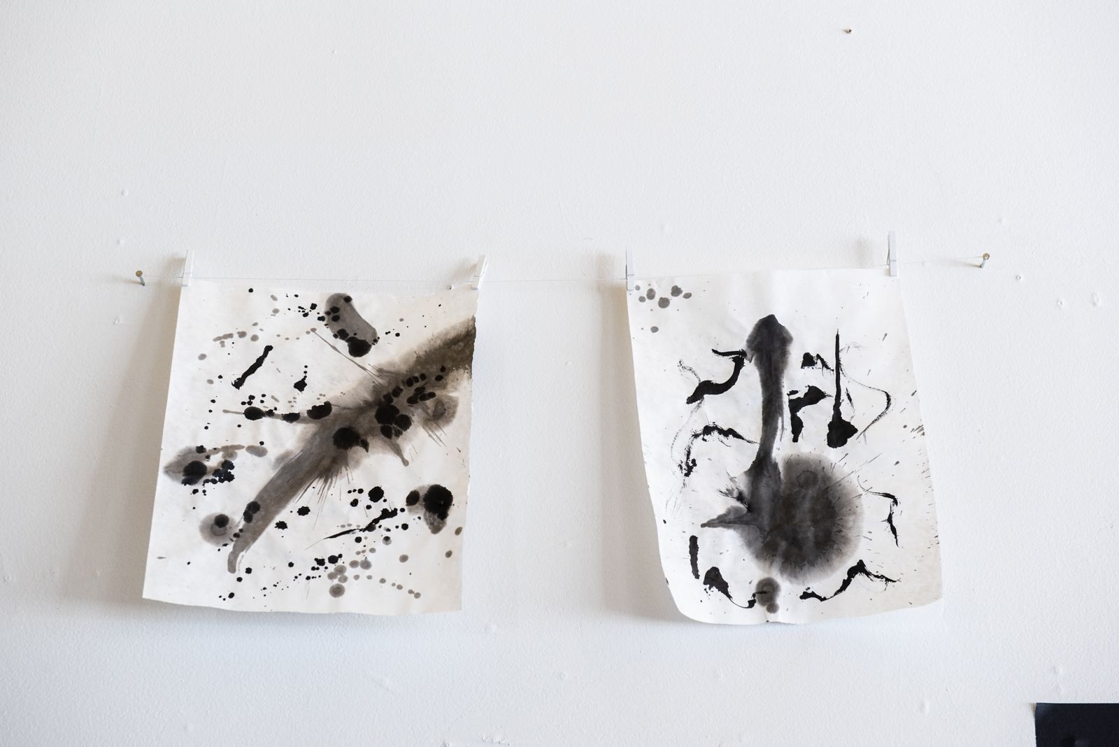 Two works on rice paper, Carbon Connection series