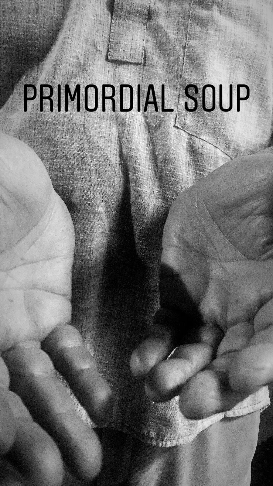 Visual poem: Primordial Soup